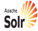 Apache_Solr_logo-company-in-india